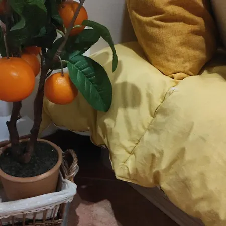 Napoleon شقة يوتْسْوولْ